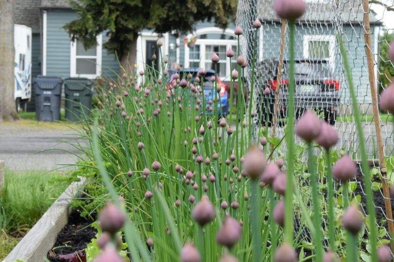 グリーンハーモニー株式会社 - Image 10